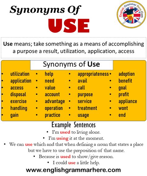 Synonym for usage. Things To Know About Synonym for usage. 