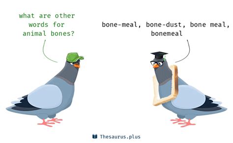 Synonyms for Animal bones