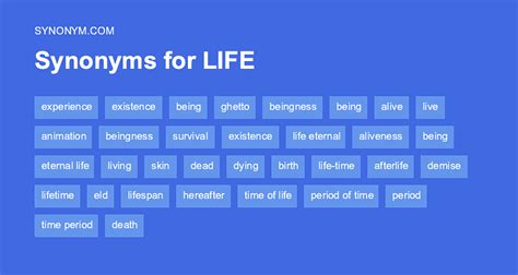 Synonyms for Things in life - 61 Expressions