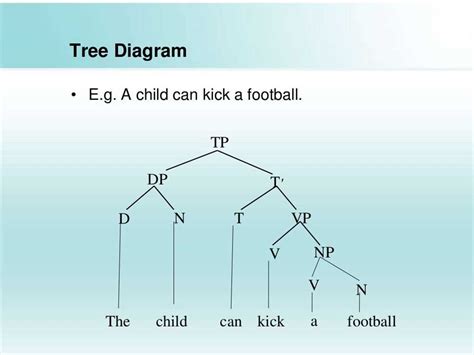 Syntax tree diagram exercises with answers.  Complements and Adjuncts.  ...
