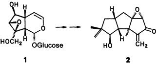 Synthese von enantiomerenreinem (−)‐Hypnophilin - Weinges