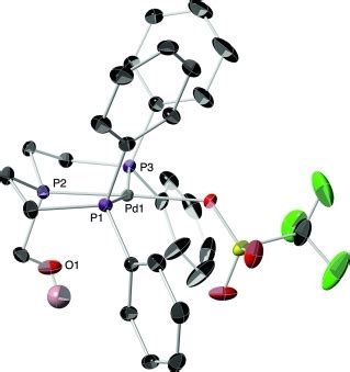 Synthesis and Characterization of a Triphos Ligand …