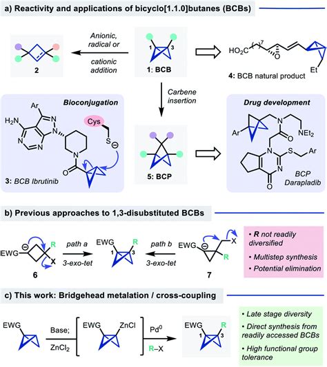 Synthesis of 1,3-disubstituted bicyclo[1.1.0]butanes via directed ...