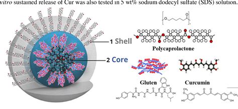 Synthesis of polycaprolactone.  The core&ndash;shell structure of the obtained products (PCL-HPPA)...