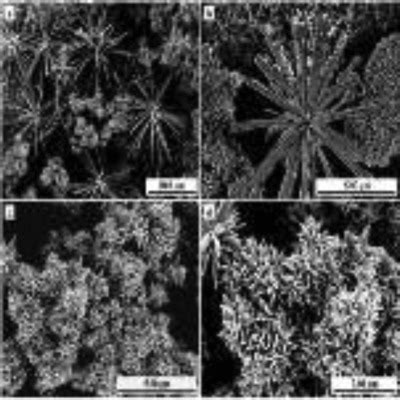 Synthesis of radial‐like ZnO structure by hydrothermal method …