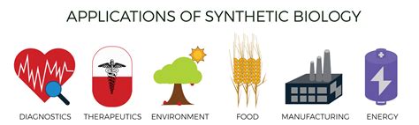 Synthetic Biology Explained – BIO