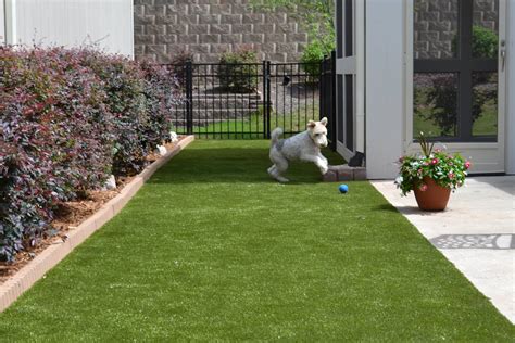 Synthetic Grass Designed for Dogs K9Grass by ForeverLawn