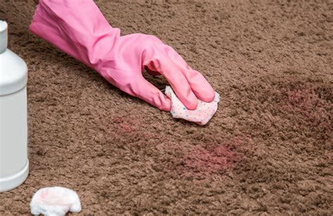 Synthetic Rug Cleaning & Care Guide - Sisalcarpet.com