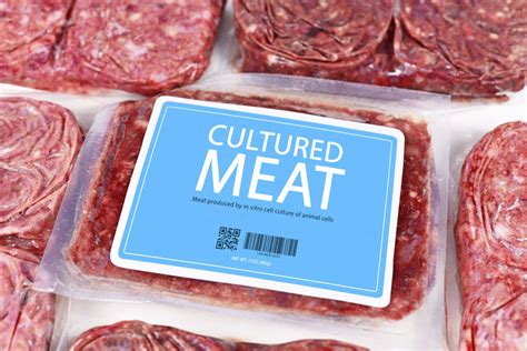 Synthetic meats. “Synthetic meat is not meat, synthetic milk is not milk. I defend the natural product, and to use the name of the natural product for the synthetic one, in my opinion, is not a step in the right ... 