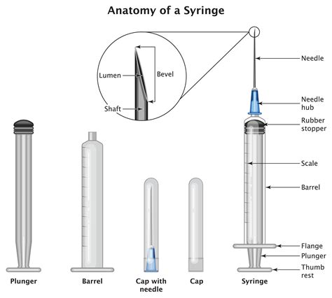 Syringe with needle.  Here&rsquo;s where needles are typically placed and what the research says. ...