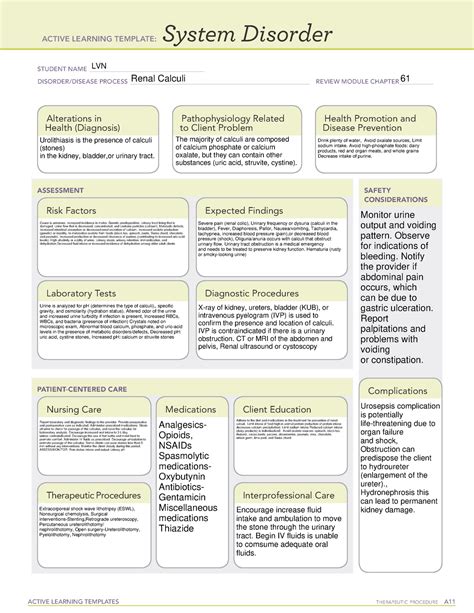 System Disorder Renal Calculi ACTIVE LEARNING TEMPLATES System