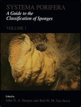 Systema porifera a guide to the classification of sponges two. - Les bases de la syntaxe. syntaxe contrastive. français langues voisines.