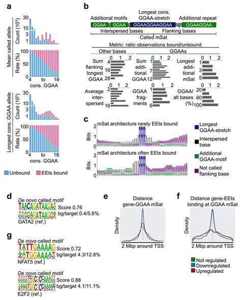 Systematic multi-omics cell line profiling uncovers ... - bioRxiv