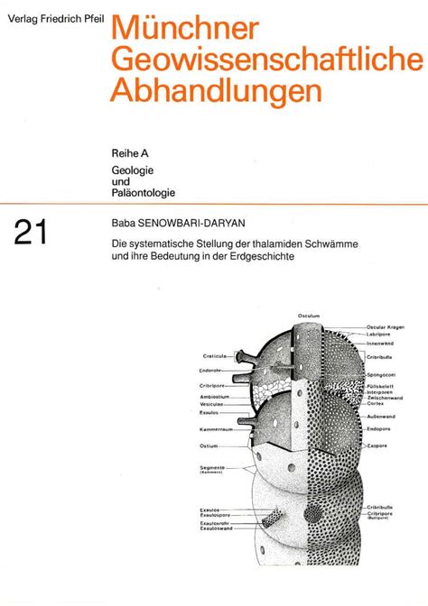 Systematische stellung der thalamiden schwämme und ihre bedeutung in der erdgeschichte. - 1960 alfa romeo 2000 spark plug wire manual.