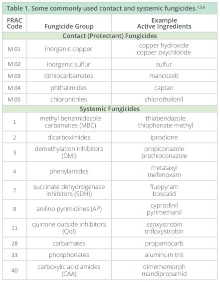 Systemic and non systemic fungicide example.  SYSTEMIC definition: 1.  Systemic ...