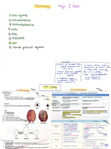 Systemic pathology notes pdf.  Clinical pathology includes diagnostic la...