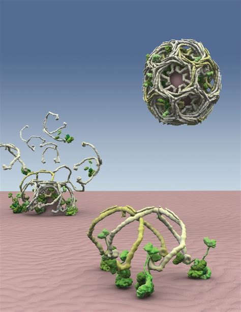 Systems Dynamics in Endocytosis - Fürthauer - 2014 - Traffic