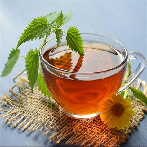 Té | Spanish to English Translation - balustradellc