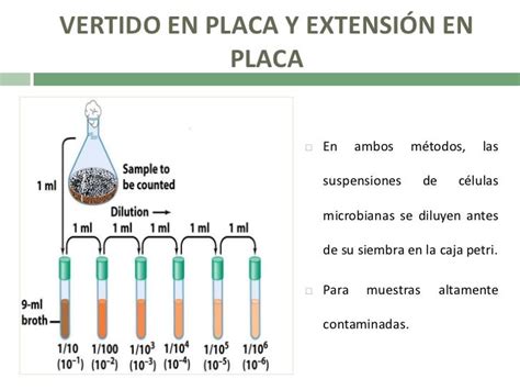 TÉCNICAS DE INOCULACIÓN Y CUANTIFICACIÓN DE …