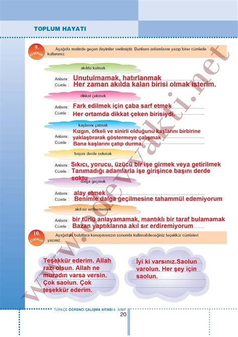 Türkçe 6 sınıf çalışma kitabı başak yayınları cevapları