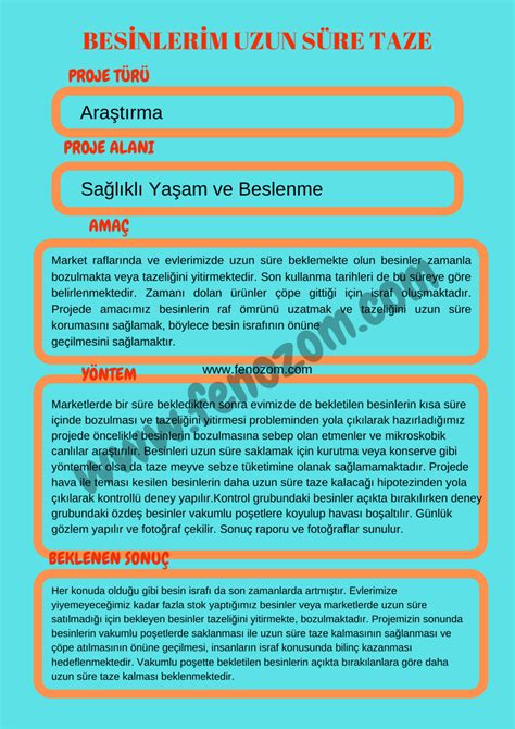Türkçe tübitak araştırma proje örnekleri