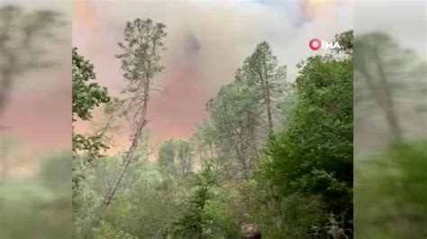 Türkiye'den Şili'ye orman yangınları nedeniyle taziye - Son Dakika Haberleri