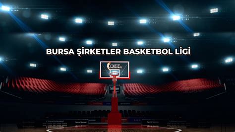 Türkiye basketbol ligleri