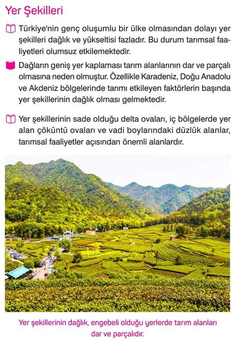 Türkiye de tarım coğrafya 11