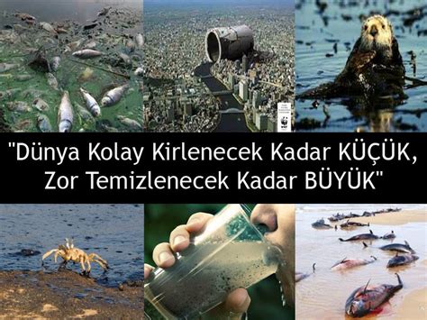 Türkiye deki çevre sorunları nelerdir