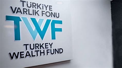 Türkiye varlık fonu ekşi