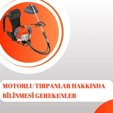 codini.rgarabwor.edu.pl. 