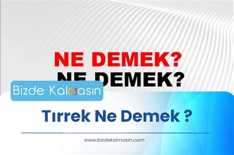 Tırrek kürtçe ne demek? son günlerde kullanılan ve baya yaygınlaşmış bir kelime olan tırrek , sözcük olarak salak, odun kafalı gibi anlamlar içerir.