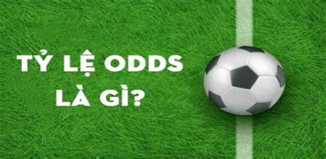 Tất Tần Tật Về Bet Odds: Chiếc La Bàn Hướng Bạn Tới Chiến Thắng