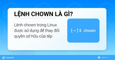 Tận Dụng Sức Mạnh của chown 777 trong Linux: Hướng Dẫn Toàn Diện