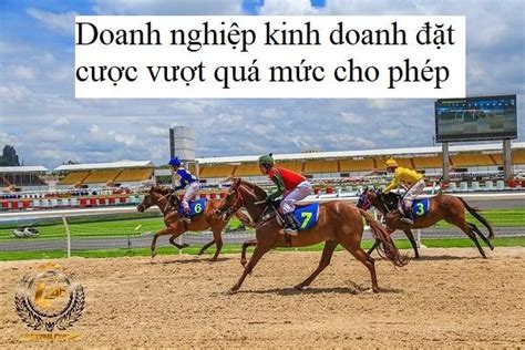 Tối Ưu Luật Kinh Doanh Cá Cược Cho Doanh Nghiệp Thành Công