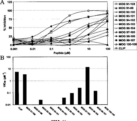 T Cell Epitopes of Human Myelin Oligodendrocyte Glycoprotein …