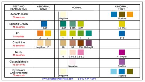 T Cup Drug Test Color Chart
