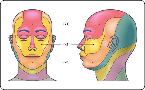 T ME facial & jadwal latihan publik info vidio bokeb indonesia perkiraan hasil film Sebelum YouTube premiere salting tiap dia nyapa siang tadi image 1