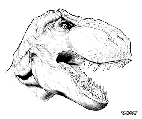 T Rex Head Drawing