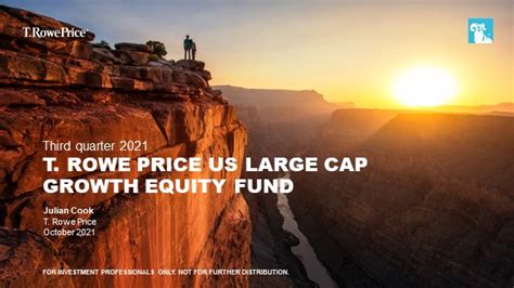 T Rowe Price All Cap Opportunities Fund