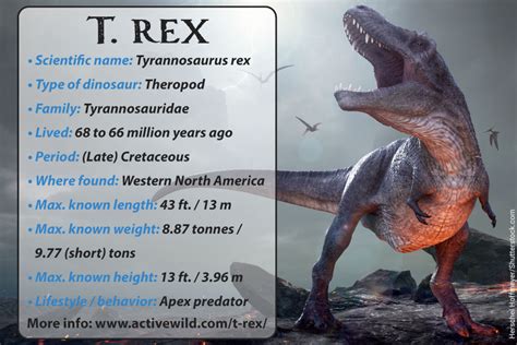 T rex facts. Other interesting T-Rex facts: The Tyrannosaurus had a life span of around 30 years. Tyrannosaurus is from the Greek word meaning Tyrant Lizard; The dinosaur has many similar features to birds. One thought is that they were warm-blooded like birds, rather than cold-blooded like reptiles. Its arms were too short to reach its mouth. 