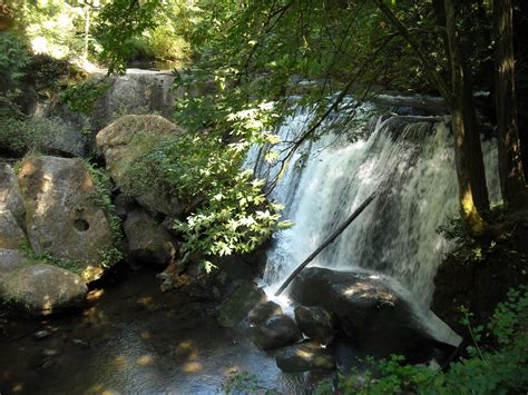 T-bar row exercise instructions and video | Weight … - balustradellc