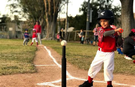 T-ball player