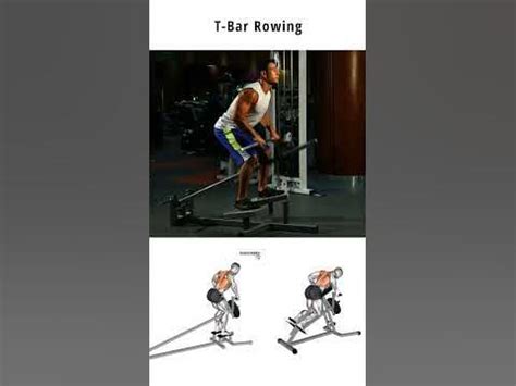 codini.rgarabwor.edu.pl. 