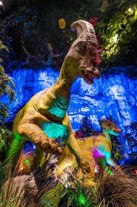 T-rex café. Visita T-REX Café, un restaurante con temática de dinosaurios que sirve un menú clásico y una experiencia prehistórica envolvente, en Disney Springs, en Walt Disney World Resort. 
