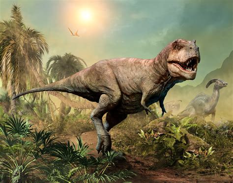 T. rex. The view that emerged placed T. rex and its close relatives — together known as tyrannosaurids — as the top twig on a broader evolutionary bush called the Tyrannosauroidea, which emerged ... 