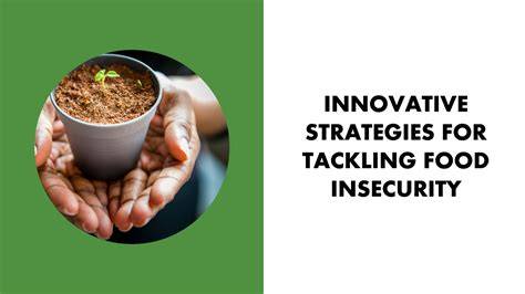 Tackling Food Insecurity: A Comprehensive Approach to Sustainable ... - raincitystudios.com