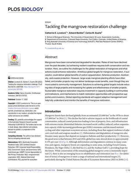 Tackling the mangrove restoration challenge - PMC - raincitystudios.com