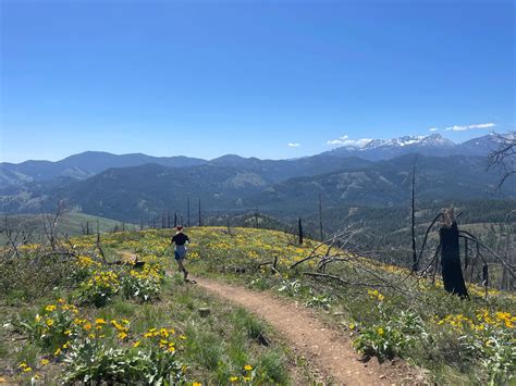 Tactical Strength Training Tips for Trail Runners - balustradellc