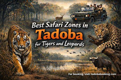 Tadoba best safari zones - raincitystudios.com